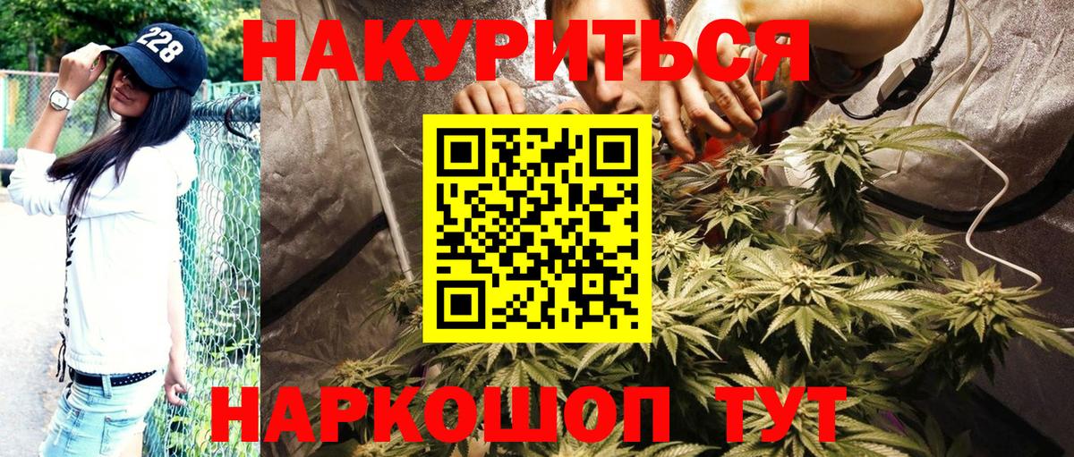 Бошки Шишки семена Лабинск